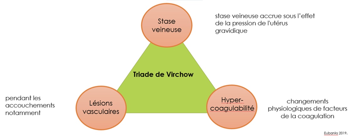triadedeVirchow Le Smartleg® d’INNOTHERA Collant de compression
